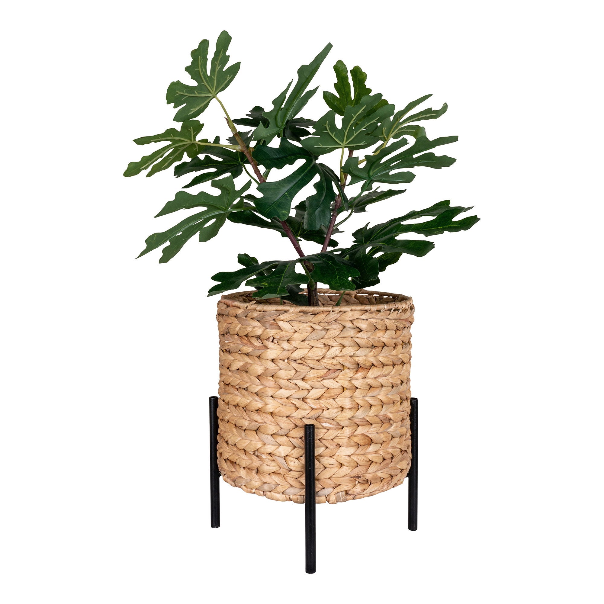 Antas Bloempot