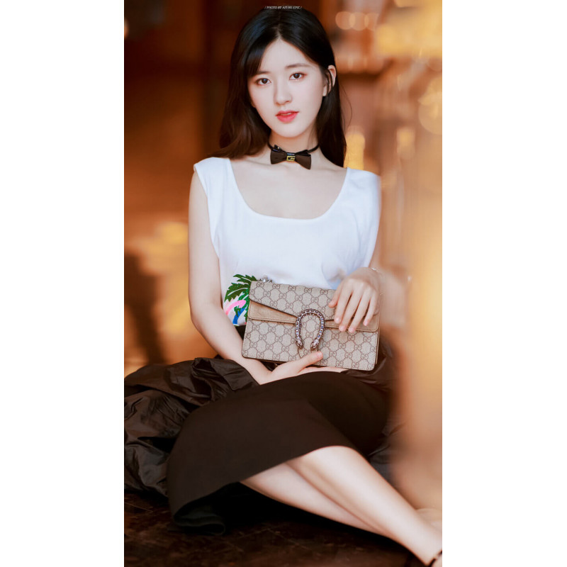 Replica Gucci Dionysus Gg Canvas Small Shoulder Bag 4996231:1High-quality replica