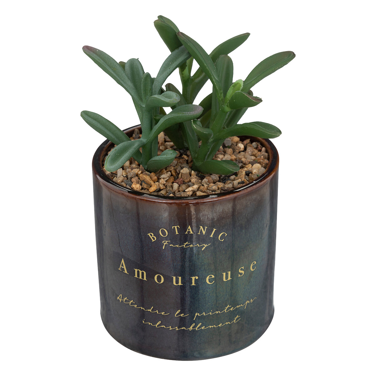 Artificial plant "Bota" Black, H.10 cm