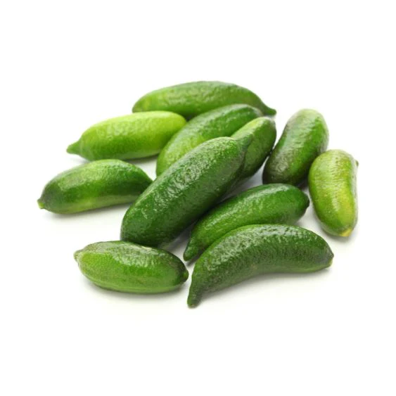 Green Finger Limes – Citrus Caviar for Fine Cuisine & Cocktails