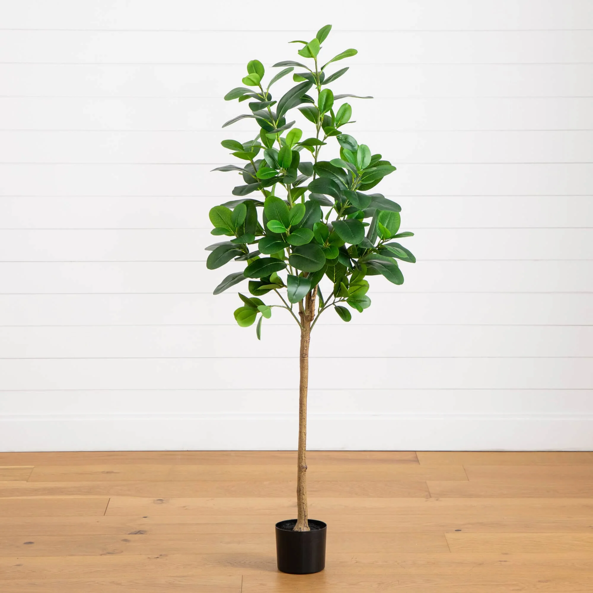 Artificial Ficus Trees