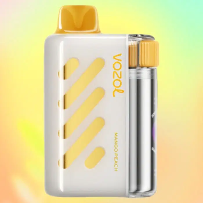 VOZOL VISTA 40000 puffs