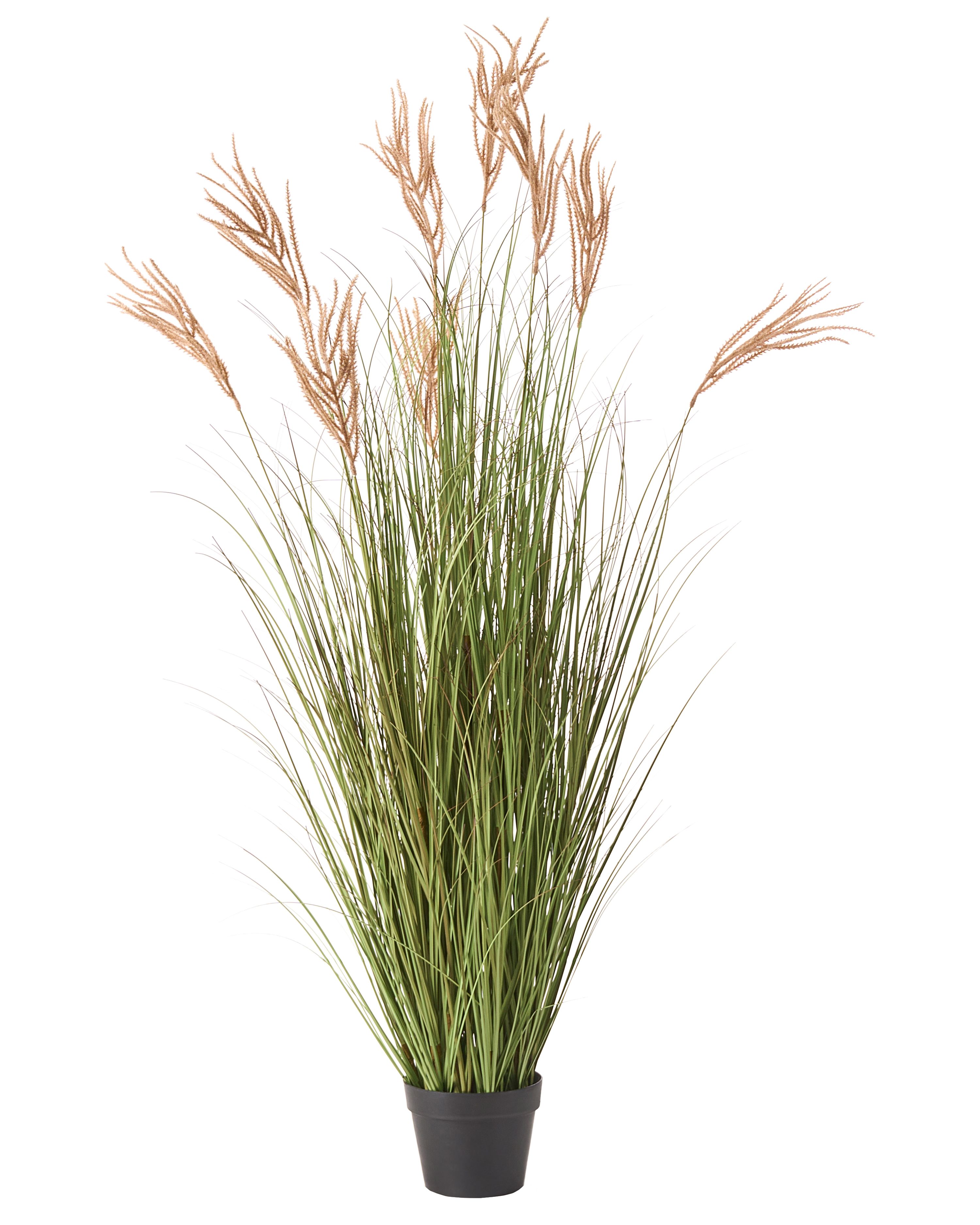 Artificial Plant CLAW FLOWER 150 cm Green