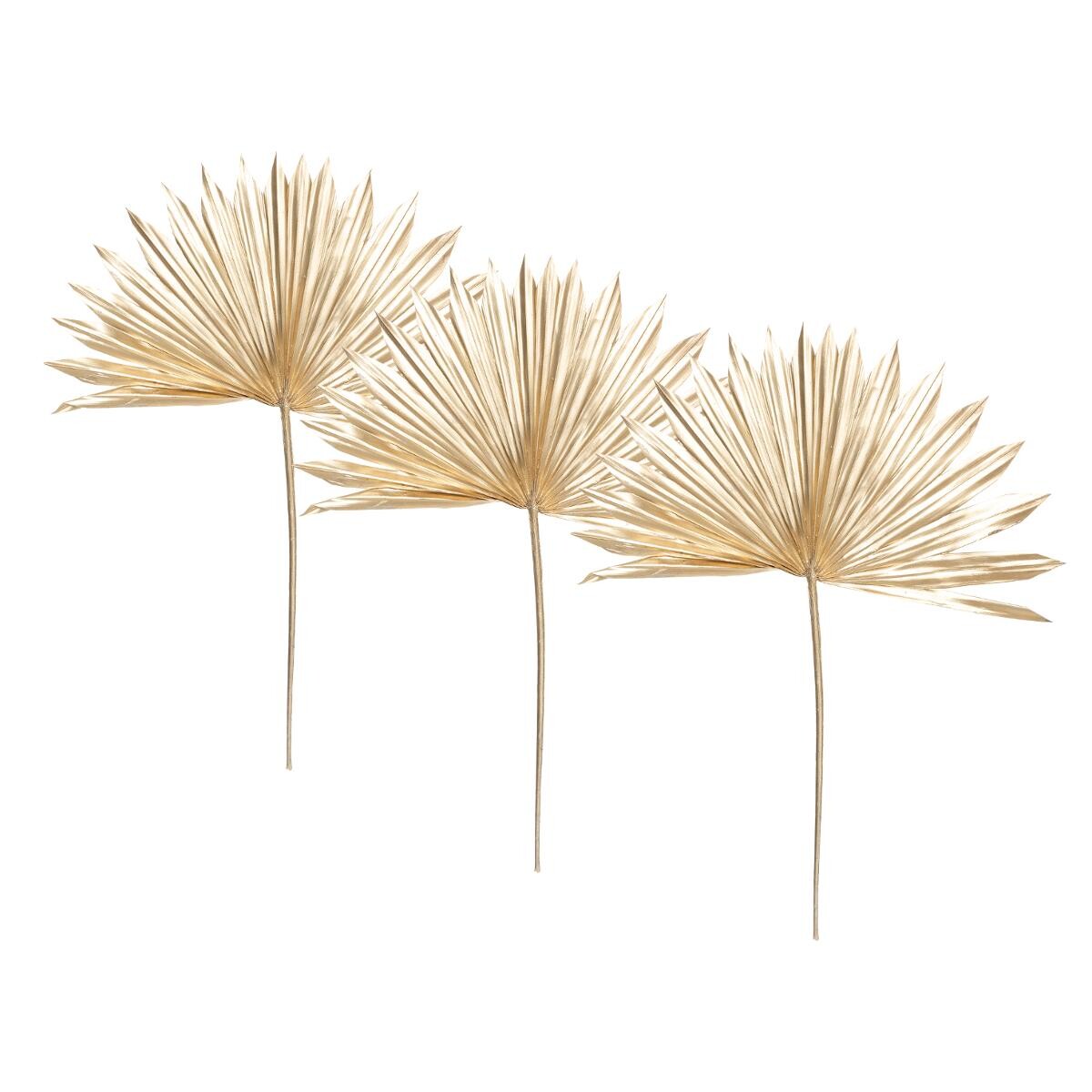 Set of 3 stems dried plant "Suite" Gilt, H.56 cm