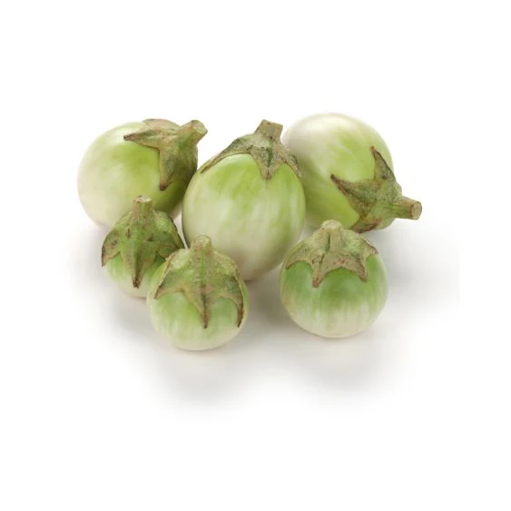 Thai eggplants – Exotic vegetable for Asian cuisine