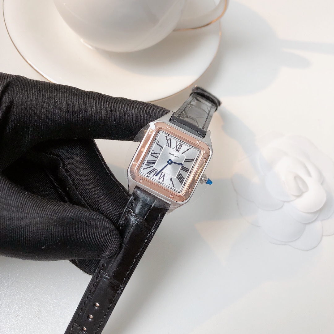 Santos Demoisell Santos Collection - Stainless Steel Mini Black(1:1 replica) - Top club