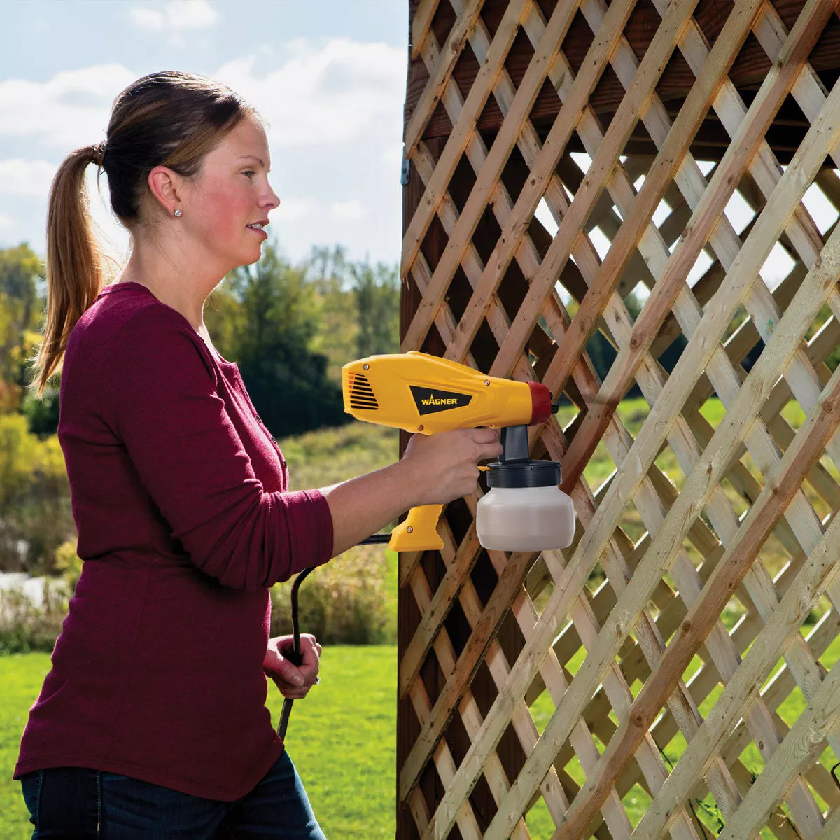 Wagner Control Spray Lite Duty Sprayer