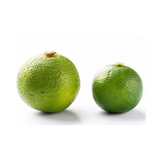 Sudachi Lime – A rare Japanese citrus fruit with fresh acidity