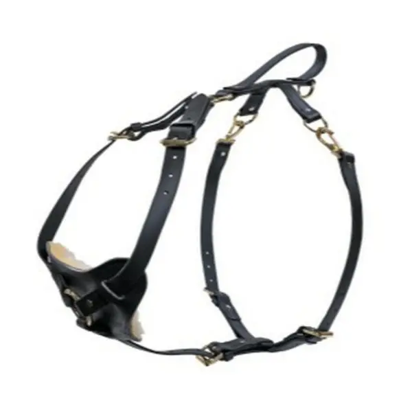 Ray Allen Biothane Multifunction Dog Harness, Waterproof, Brass Fittings, Black - Large Breeds