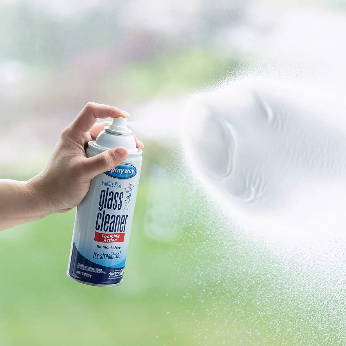 Sprayway 19 Oz. Aerosol Spray Glass & Surface Cleaner
