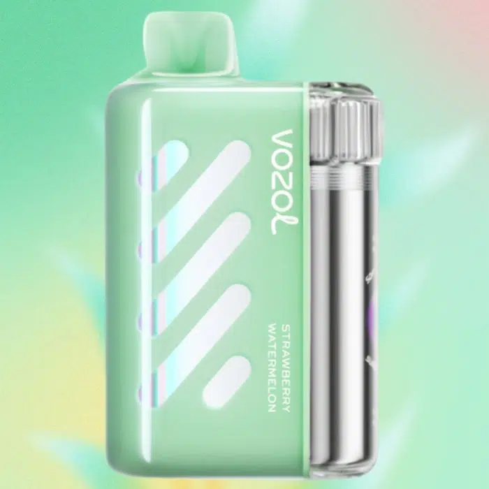 VOZOL VISTA 40000 puffs