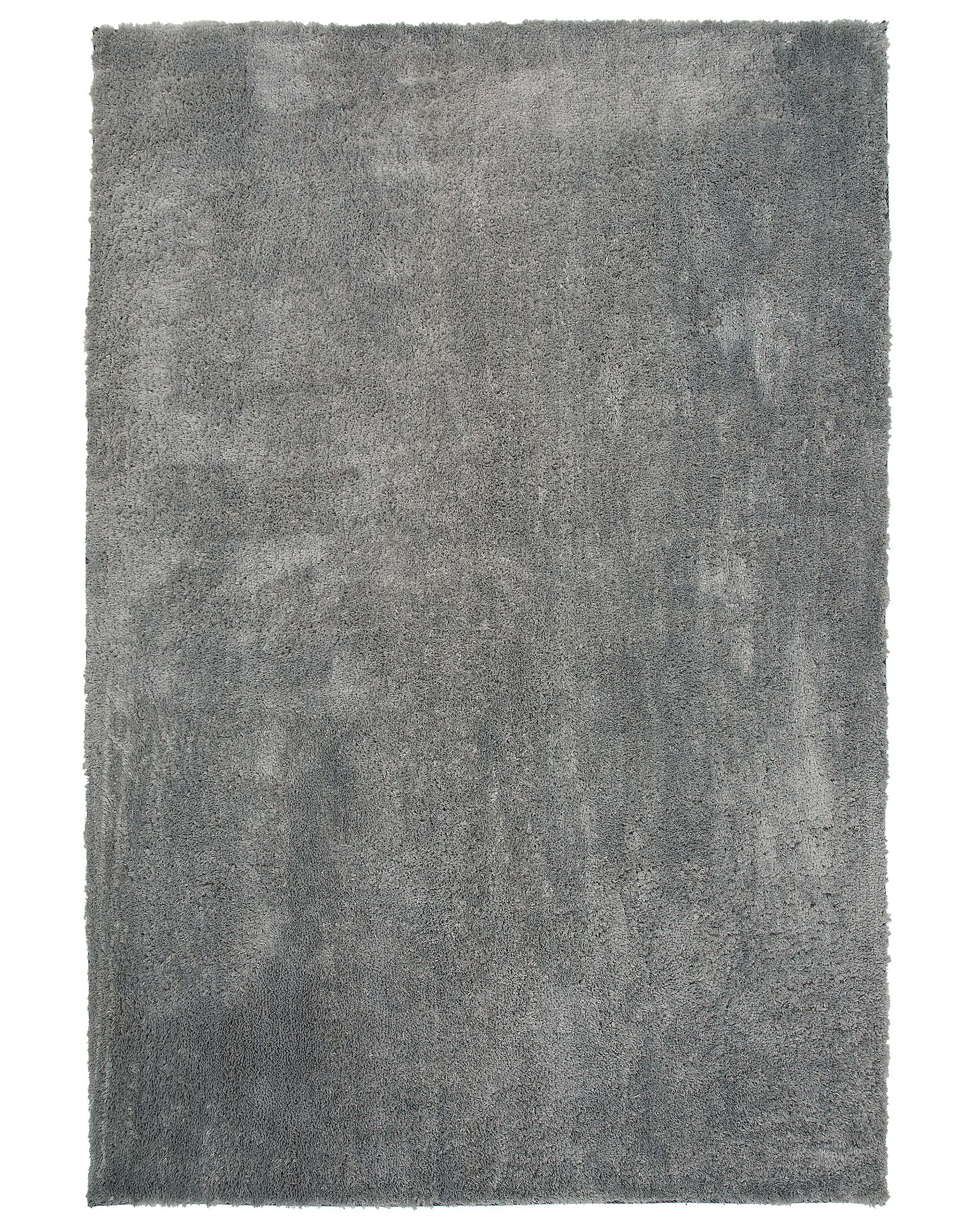 Shaggy Rug EVREN Light Grey 200 x 300 cm