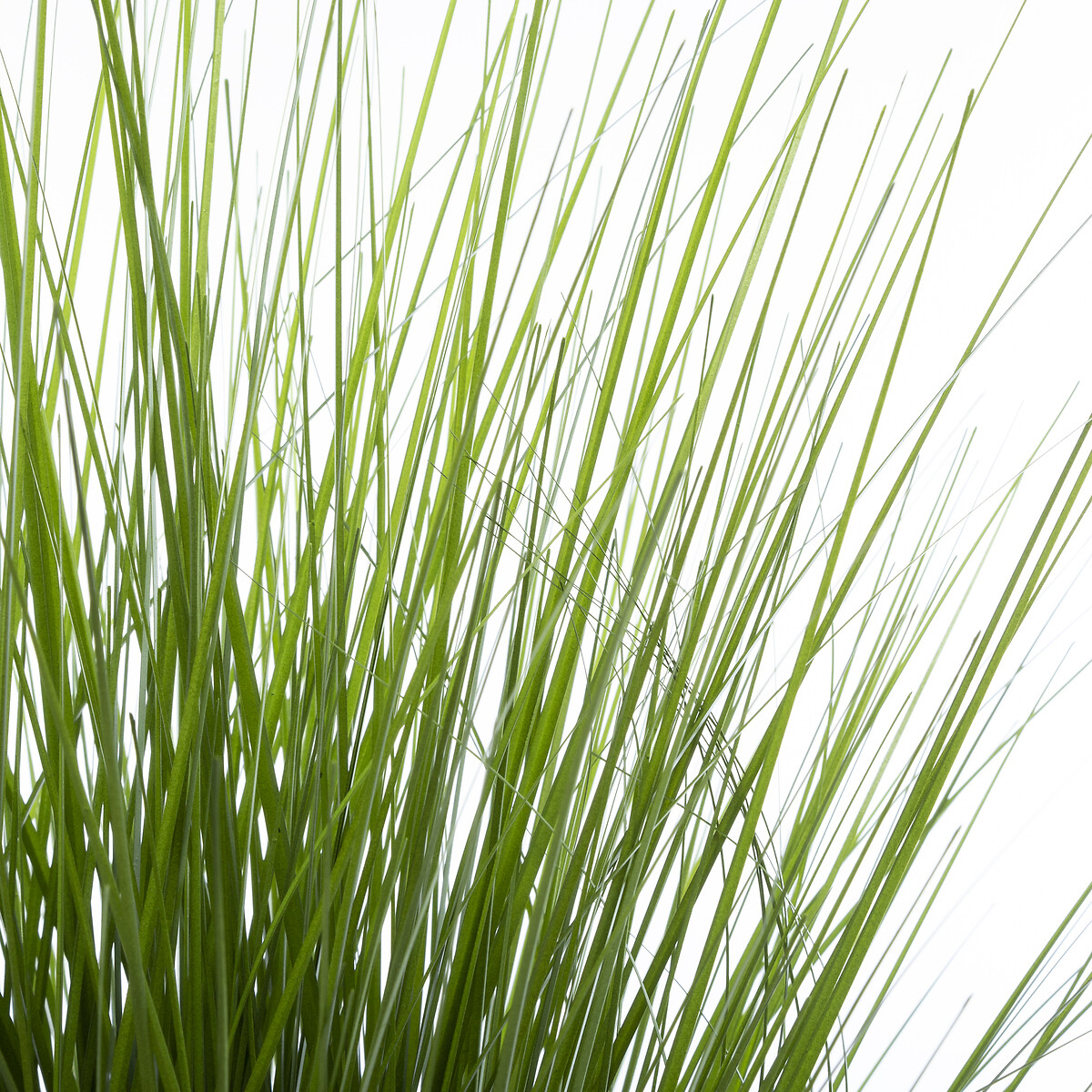 Artificial grass in a pot H.74 cm