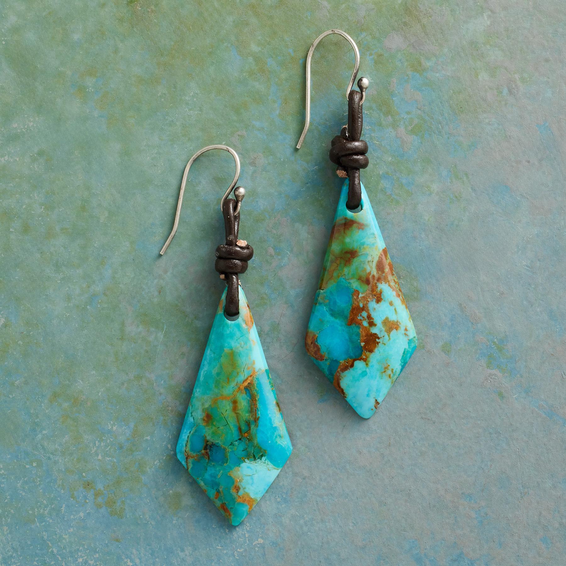 Long View Earrings - Sundance Clothing