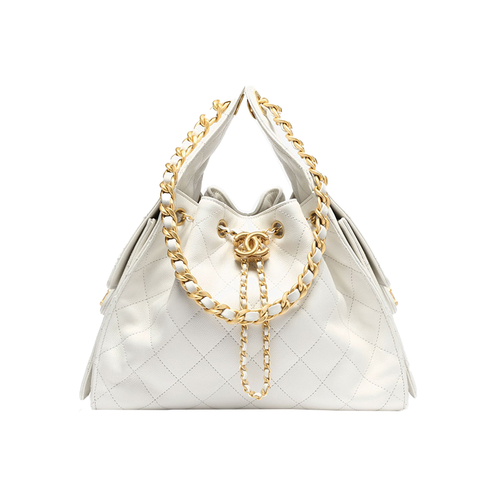 CHANEL 25 Small Handbag