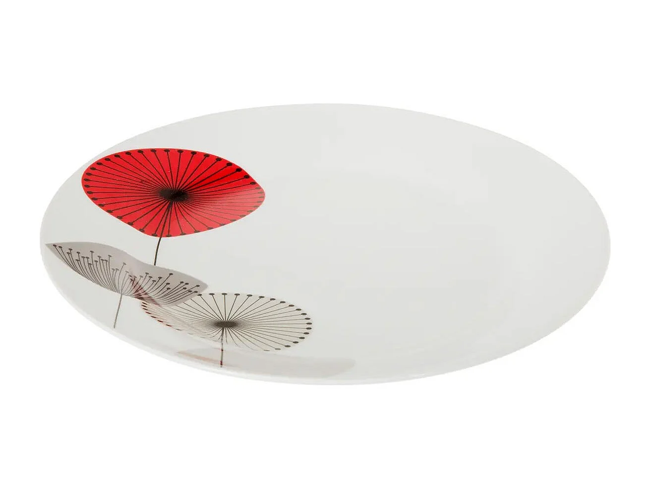 Lot de 6 Assiettes Plates 