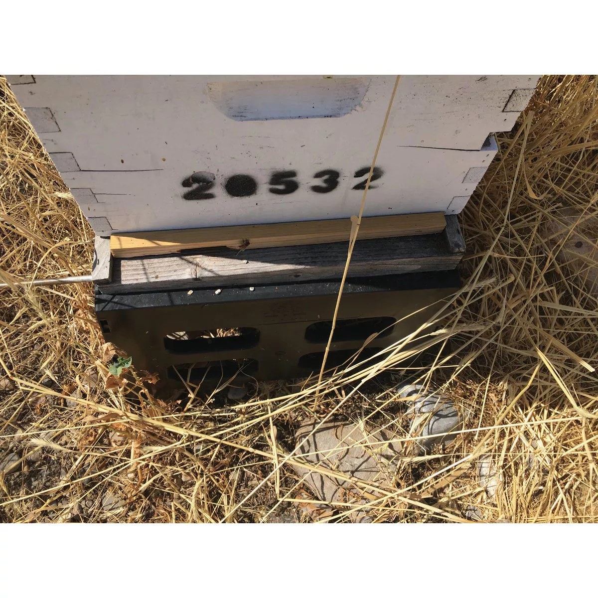 Harvest Lane Honey 3/4 In W x 3/4 In H x 14-3/4 In L Wood 10-Frame Beehive Entrance Reducer