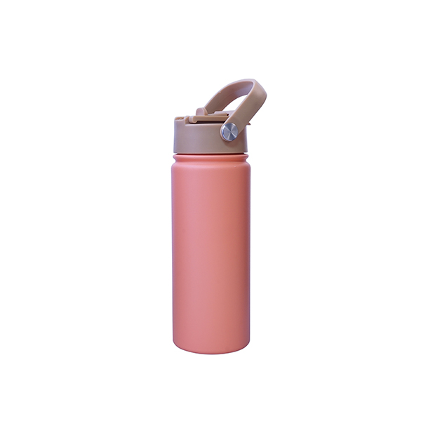 18/8 Stainless Steel 500ml Double-Layer Vacuum Insulated Sport Tumbler with DUAL-Drinking Lid Flasks for Sports and Daily Use