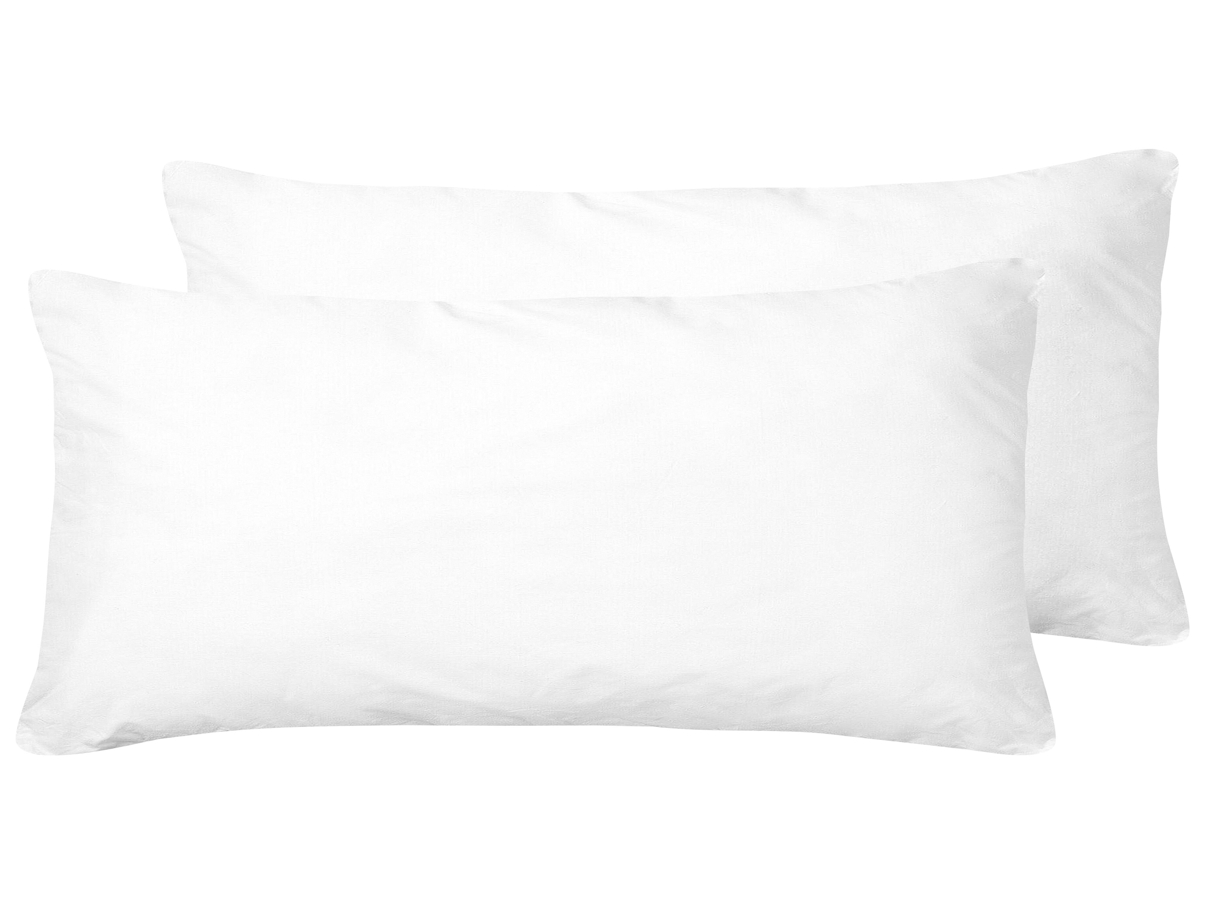 Set of 2 Pillows ERRIGAL High Microfibre 40 x 80 cm White