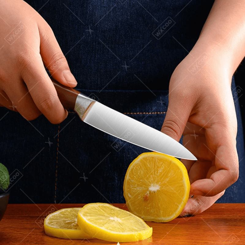 SushiMaster | Professioneel Japans Santoku Mes