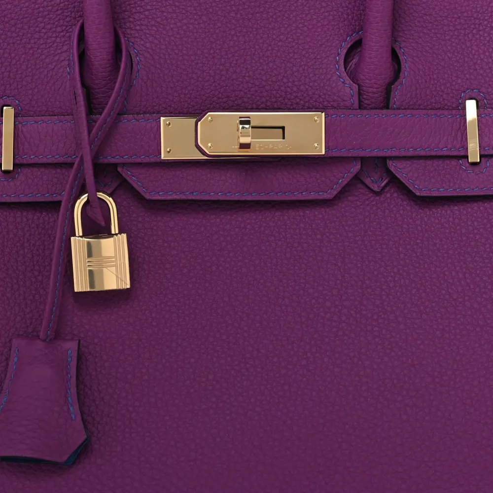 Hermès Anemone / Bleu Electrique Togo Leather Horseshoe Birkin 30 Gold Hardware High-end reps1:1High-quality replica