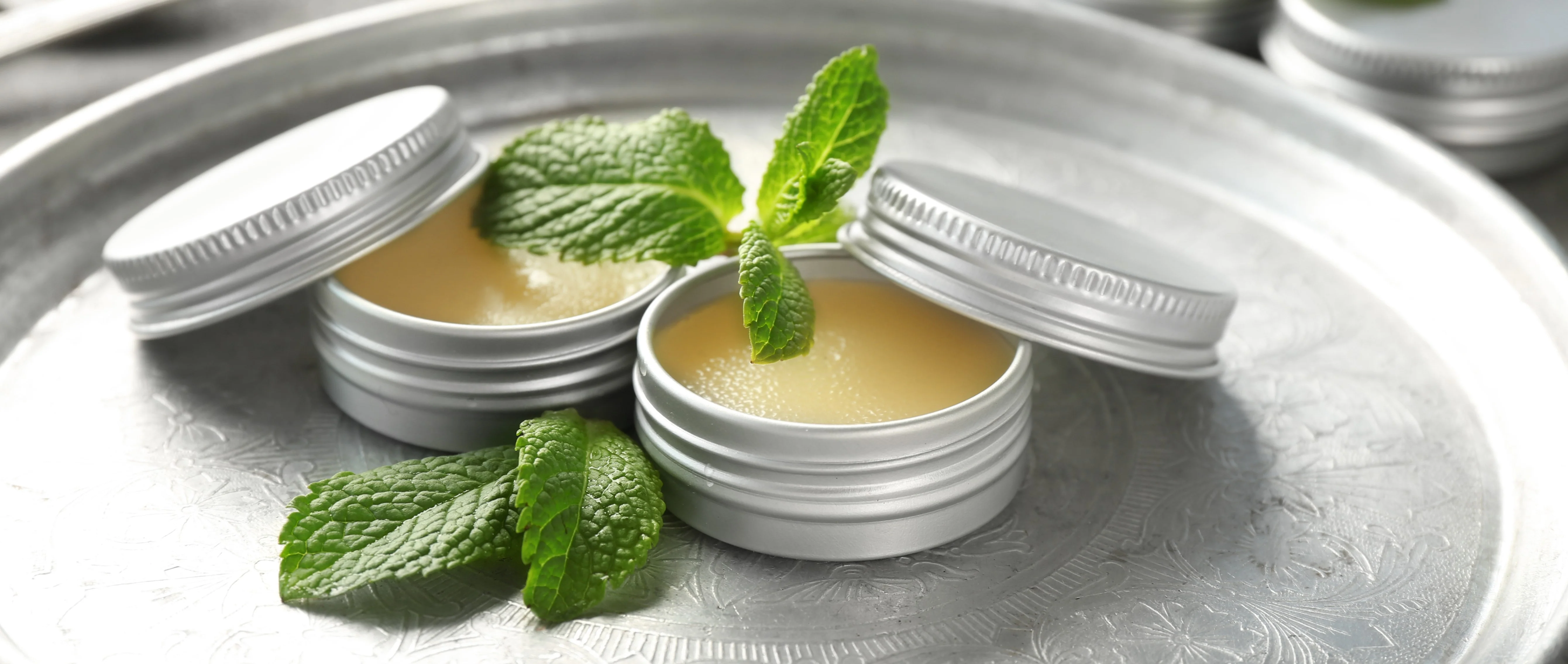 Spearmint Lip Balm