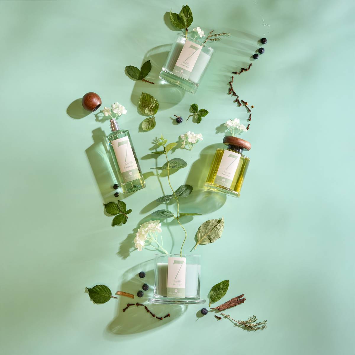 Scented Candle "Numia" Scent Gourmet, Basil, 180g