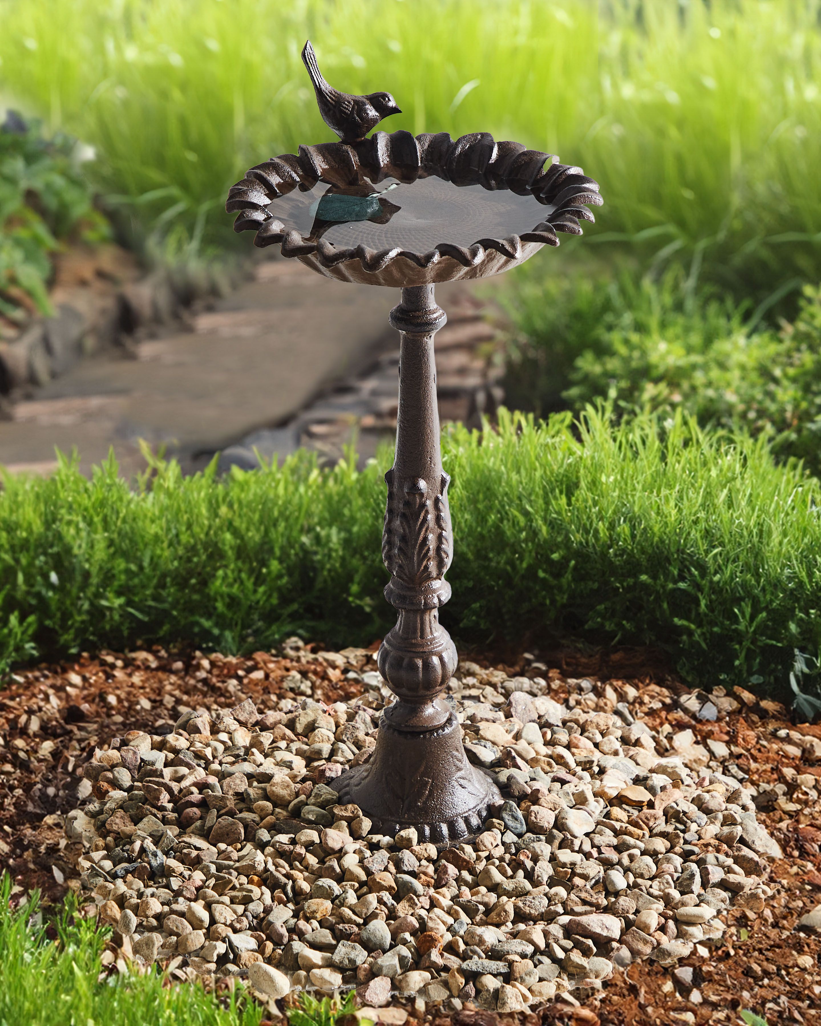 Bird Bath BLACKBIRD Brown