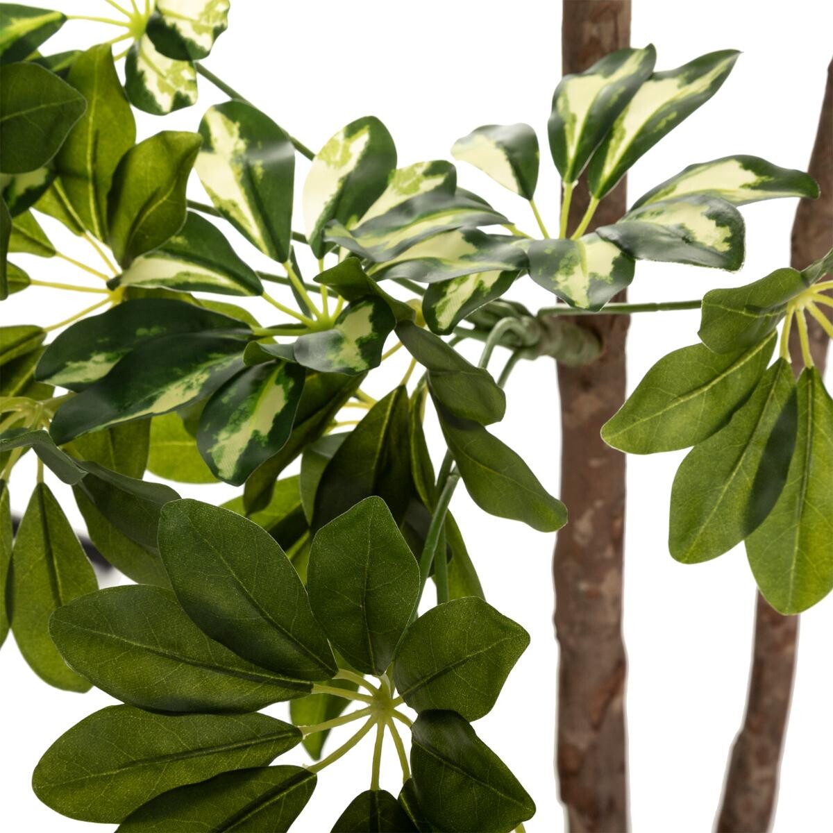 Artificial schefflera H.130 cm
