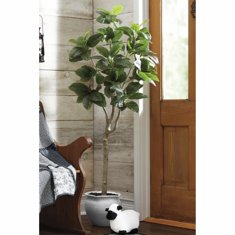 Everyday Faux Rubber Tree - MIDNIGHT VELVET CATALOG