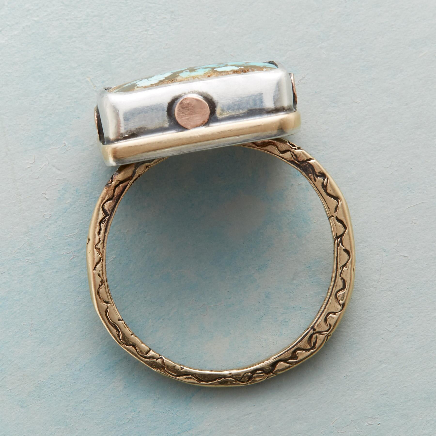 Riveting Turquoise Ring - Sundance Clothing