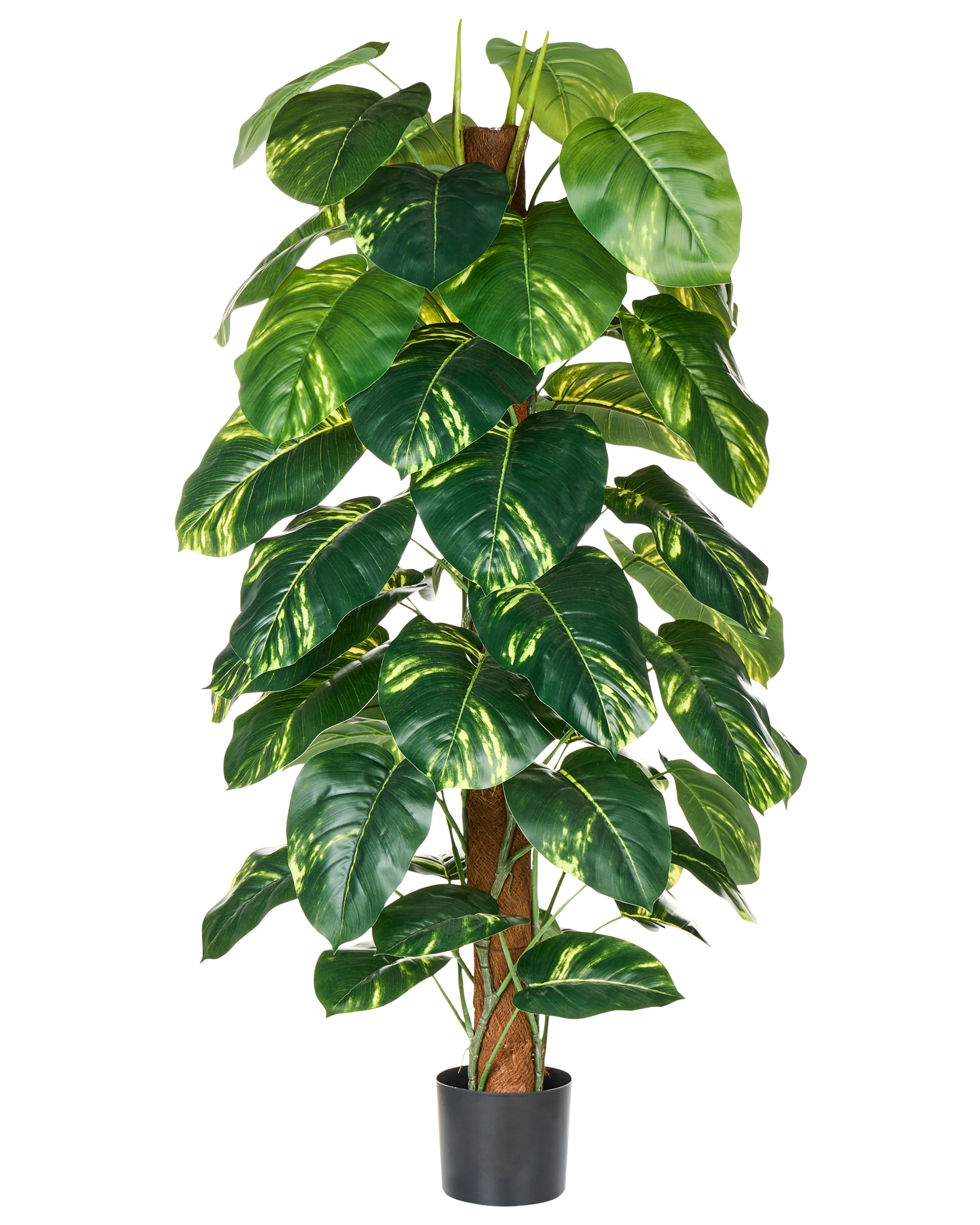 Artificial Plant DIEFFENBACHIA 152 cm Green