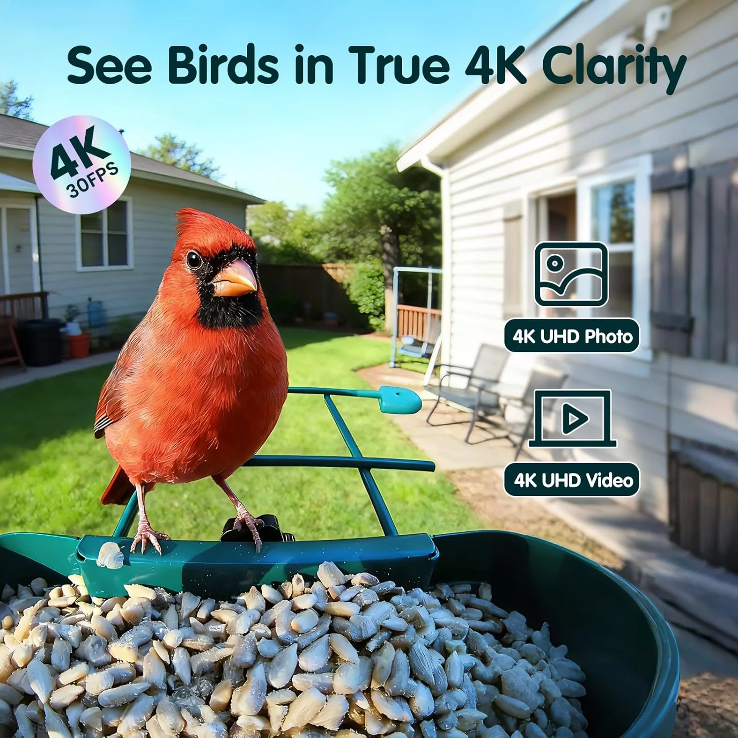 Humbirdy Smart Bird Feeder With Camera, 4K Ultra HD, Solar Powered, 2.4G/5G Wi-Fi - Image 2 Humbirdy Smart Bird Feeder With Camera, 4K Ultra HD, Solar Powered, 2.4G/5G Wi-Fi - Image 2