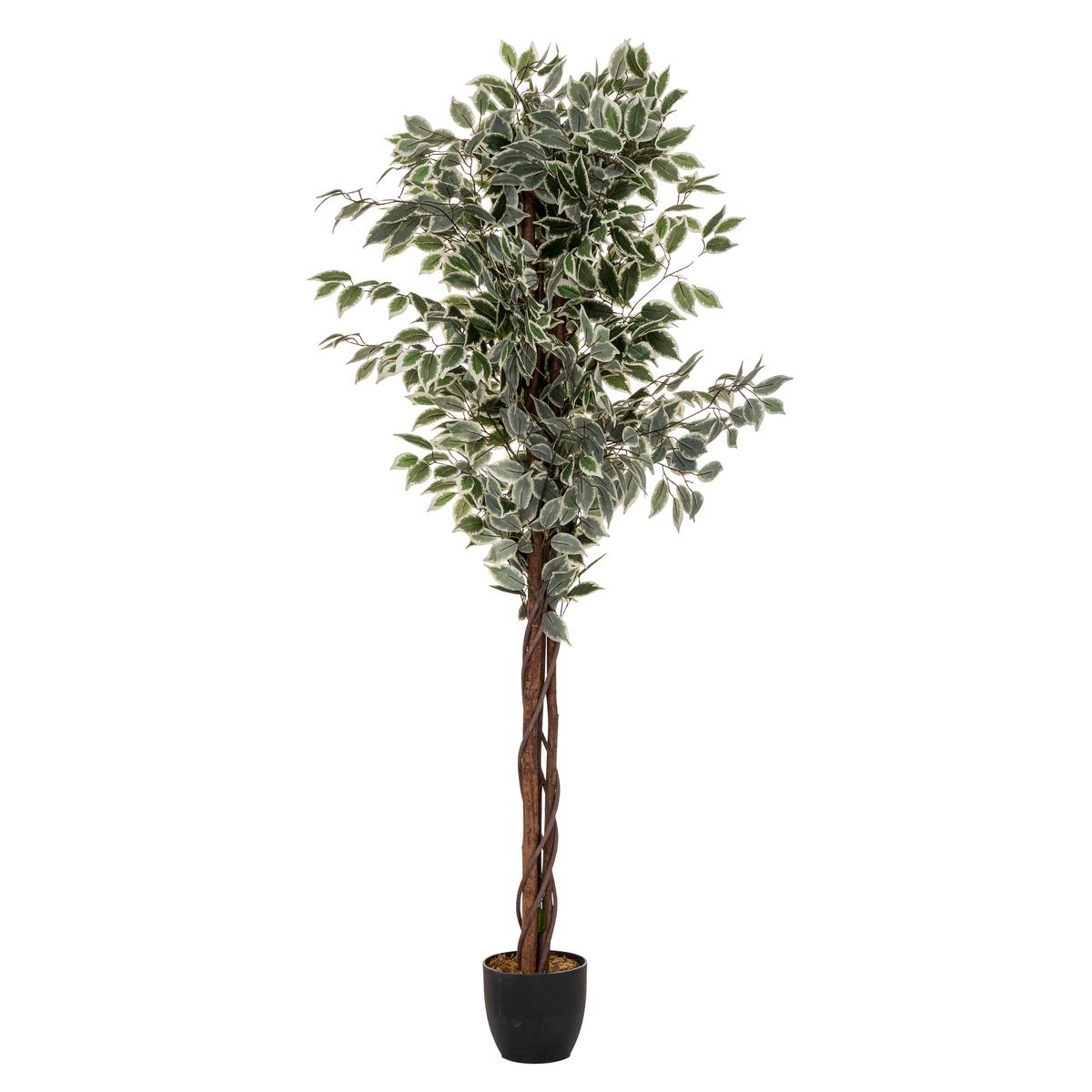 Artificial ficus "Artifices" Dark green, H.180 cm