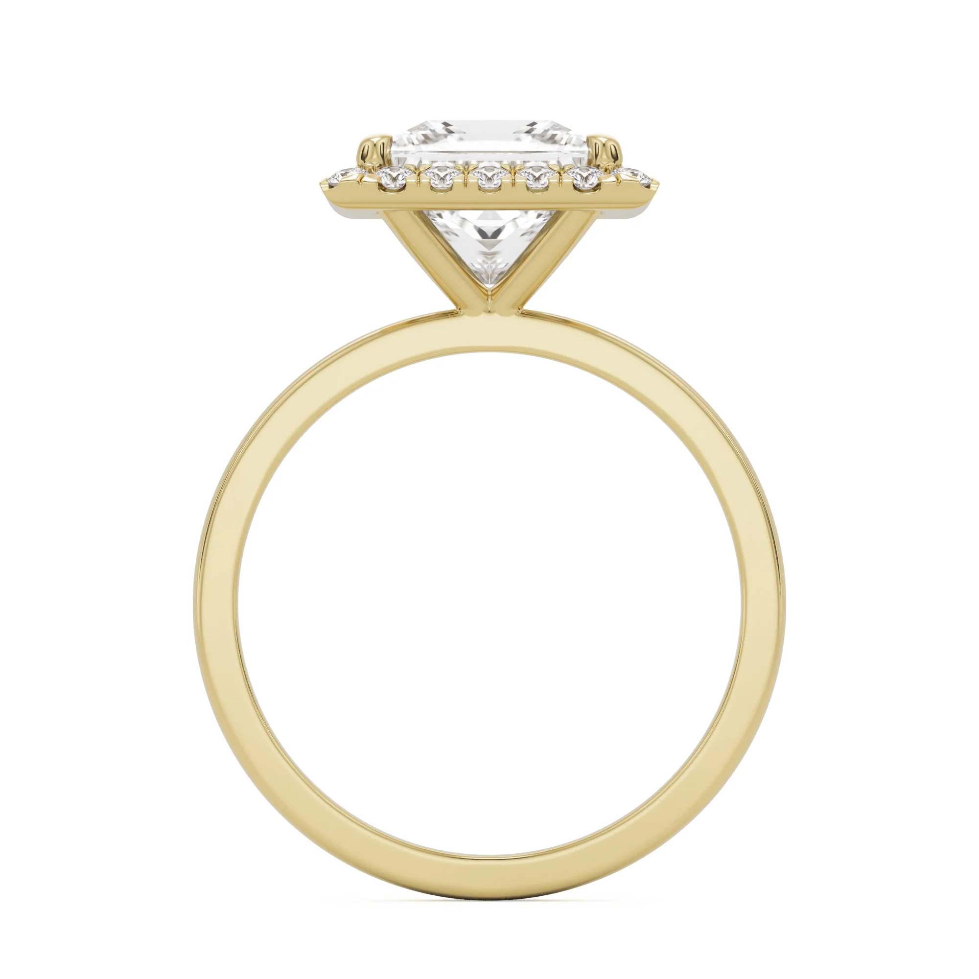 The Princess Halo