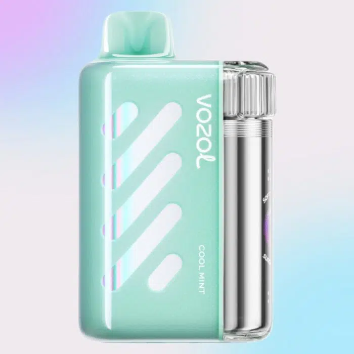 VOZOL VISTA 40000 puffs