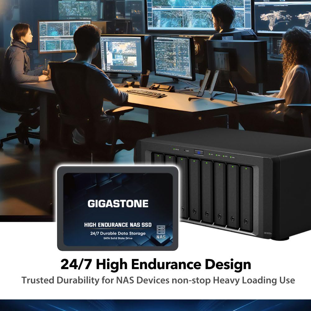 【NAS Certified】 GIGASTONE High Endurance SSD 512GB (2-Pack) Up to 550MB/s TLC Flash with SLC Caching 24/7 Reliable for Gaming/PC/NAS SSD 5-Year Warranty 2.5