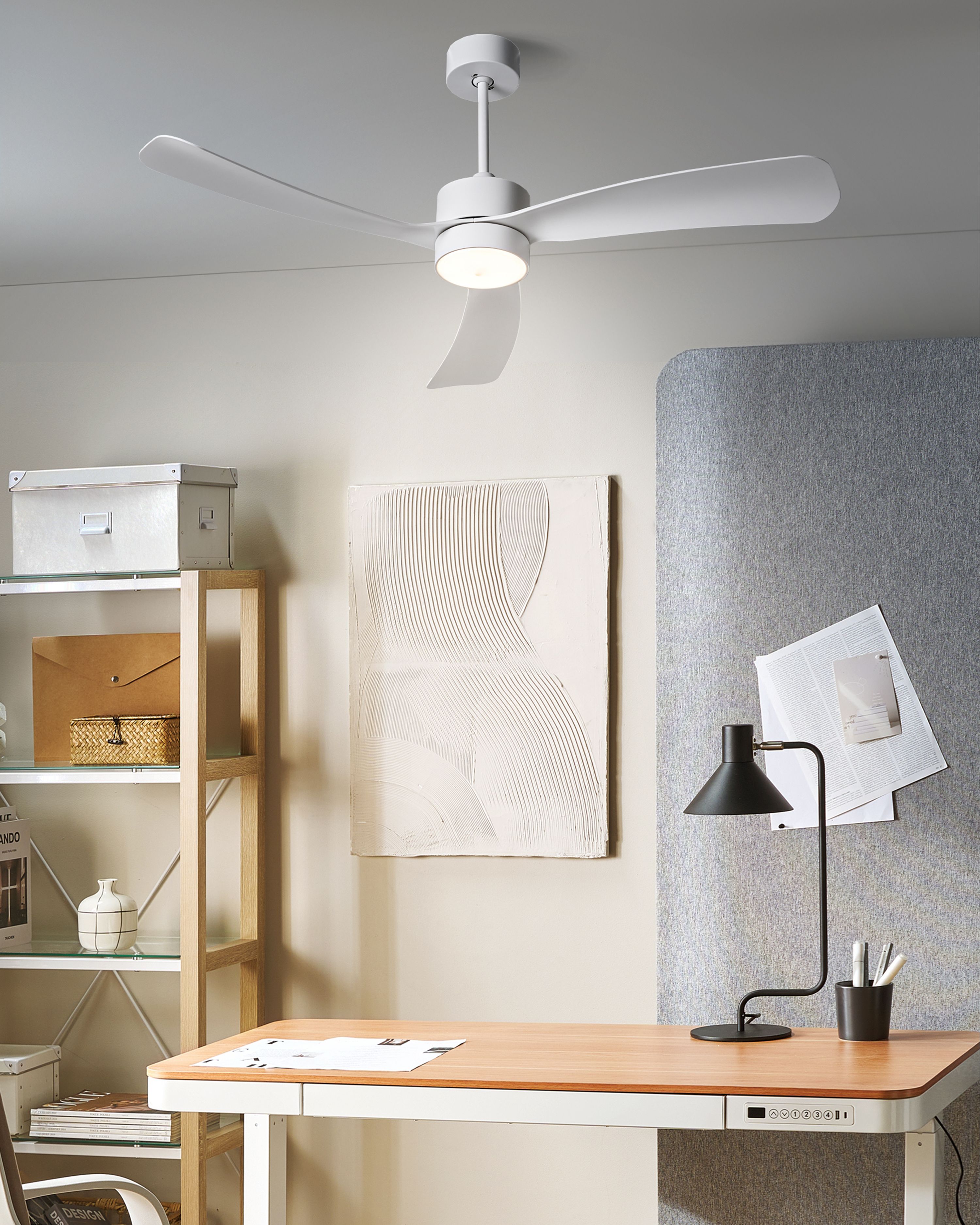 Ceiling Fan with Light PRASLIN with Remote LED White