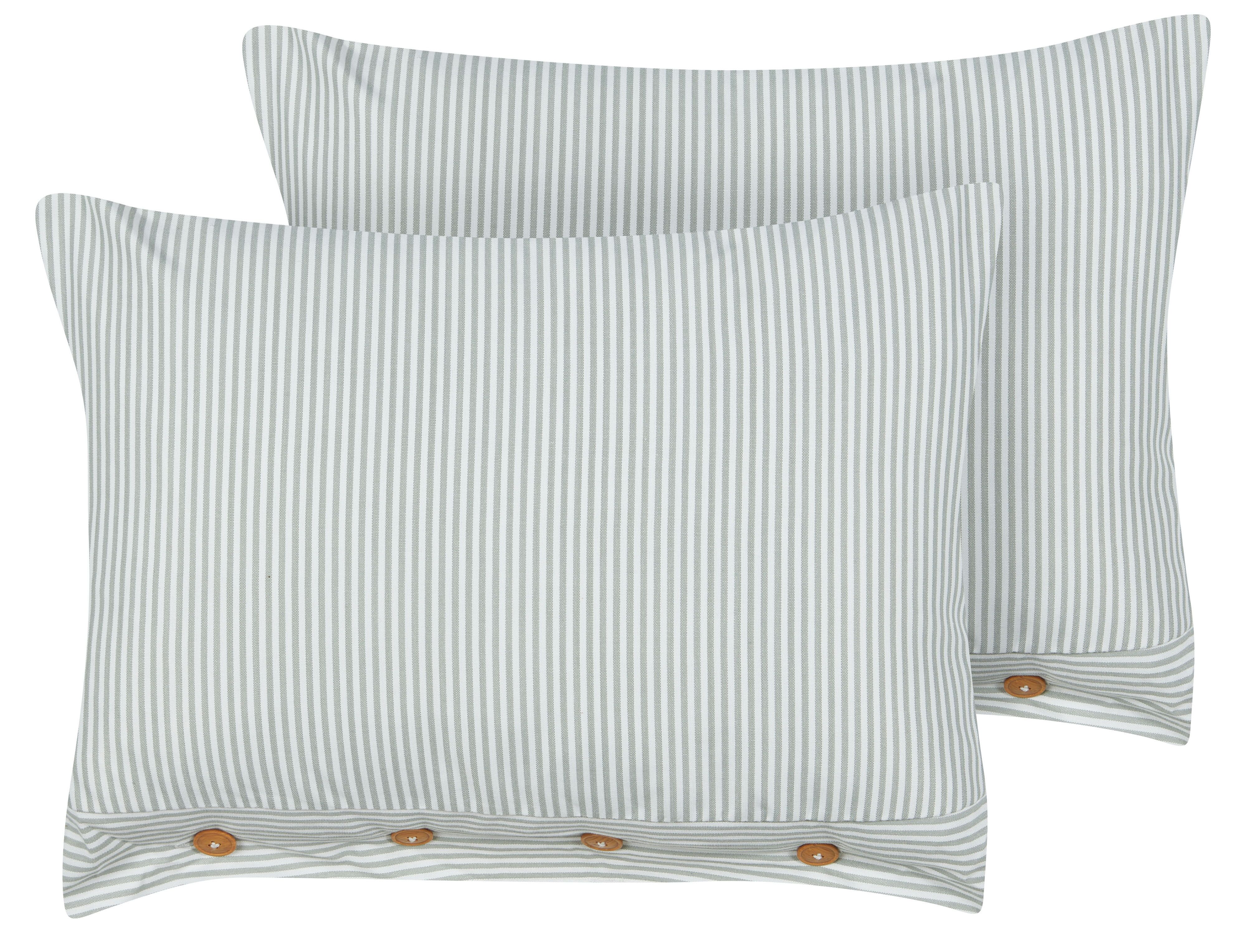 Set of 2 Decorative Cushions SEBRINE 40 x 60 cm Mint Green Striped