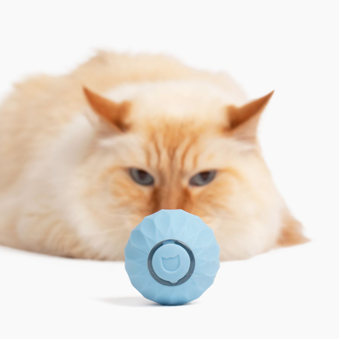 Interactief Rollend Kattenspeeltje met Drie Speelmodi – Stimuleert Jachtinstincten