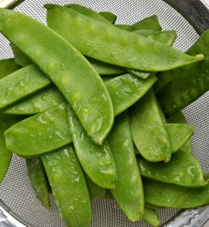 Sugar snap peas – crunchy-sweet & tender for stir-fries, salads & steamers