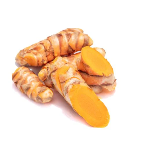 Fresh Turmeric – Golden Root for Health & Enjoyment
