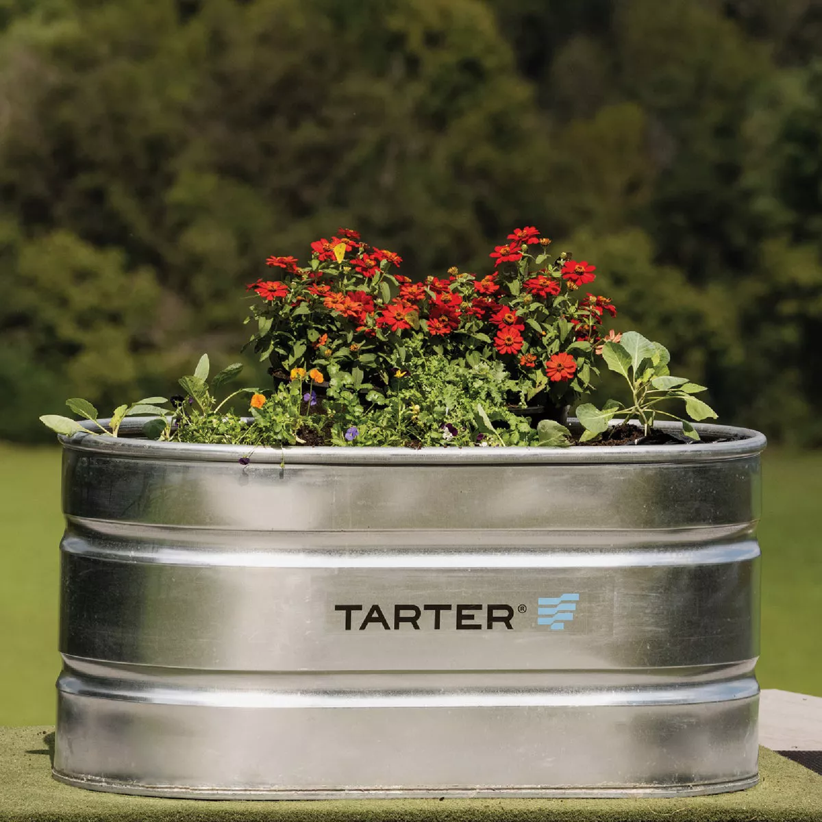 Tarter 100 Gal. Zinc-Coated Steel Galvanized Stock Tank