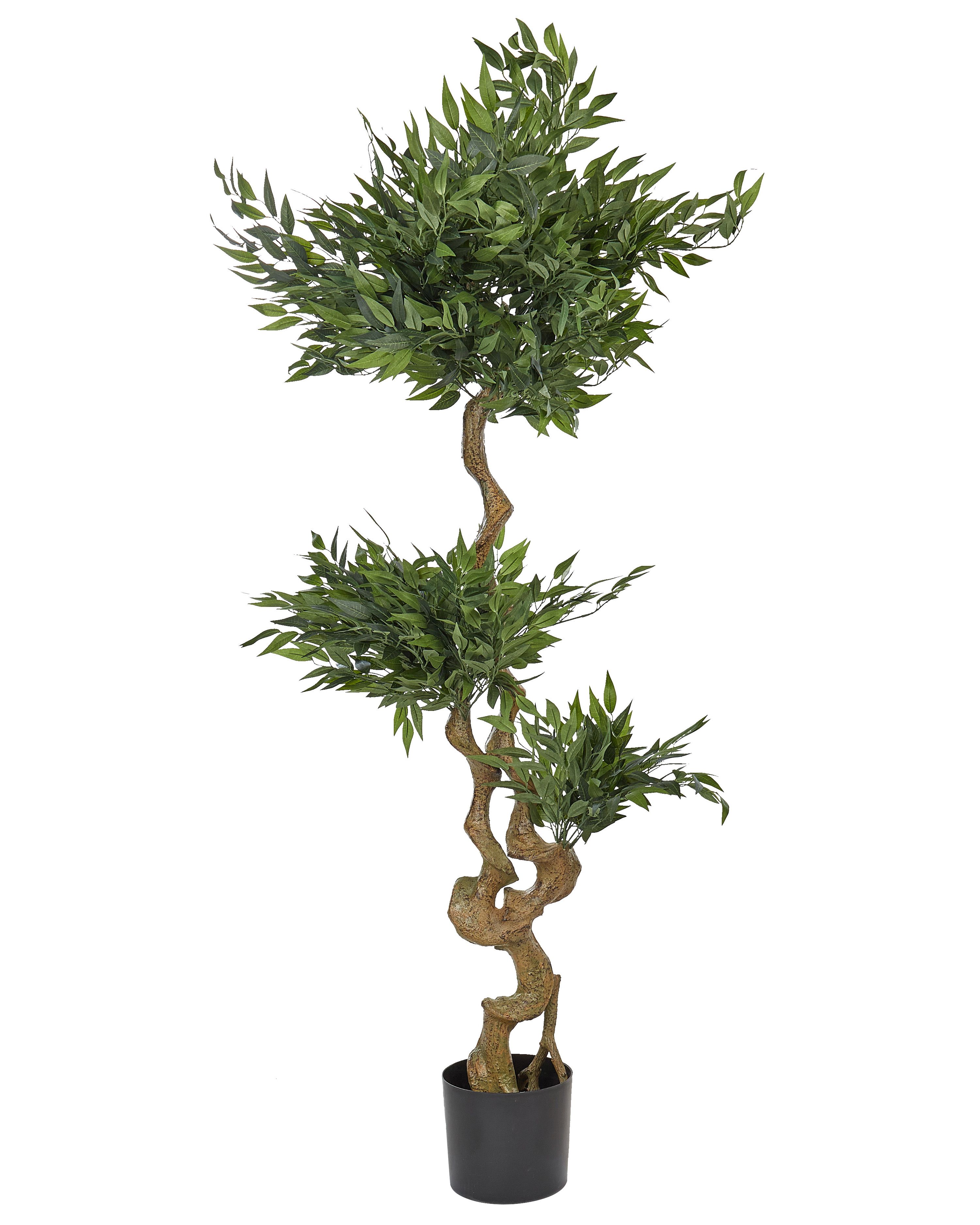 Artificial Plant RUSCUS TREE 166 cm Green