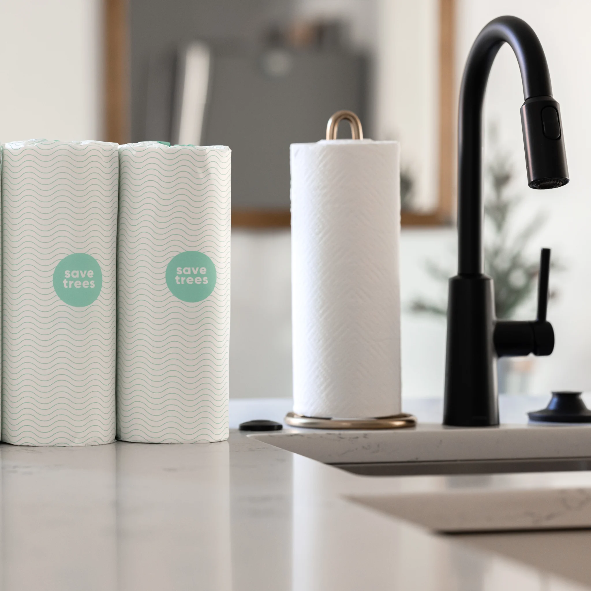 Save Trees Everything Box - 24 Bamboo Toilet Paper Rolls, 12 Paper Towels, 4 Facial Tissues, 2 Swish Cloths