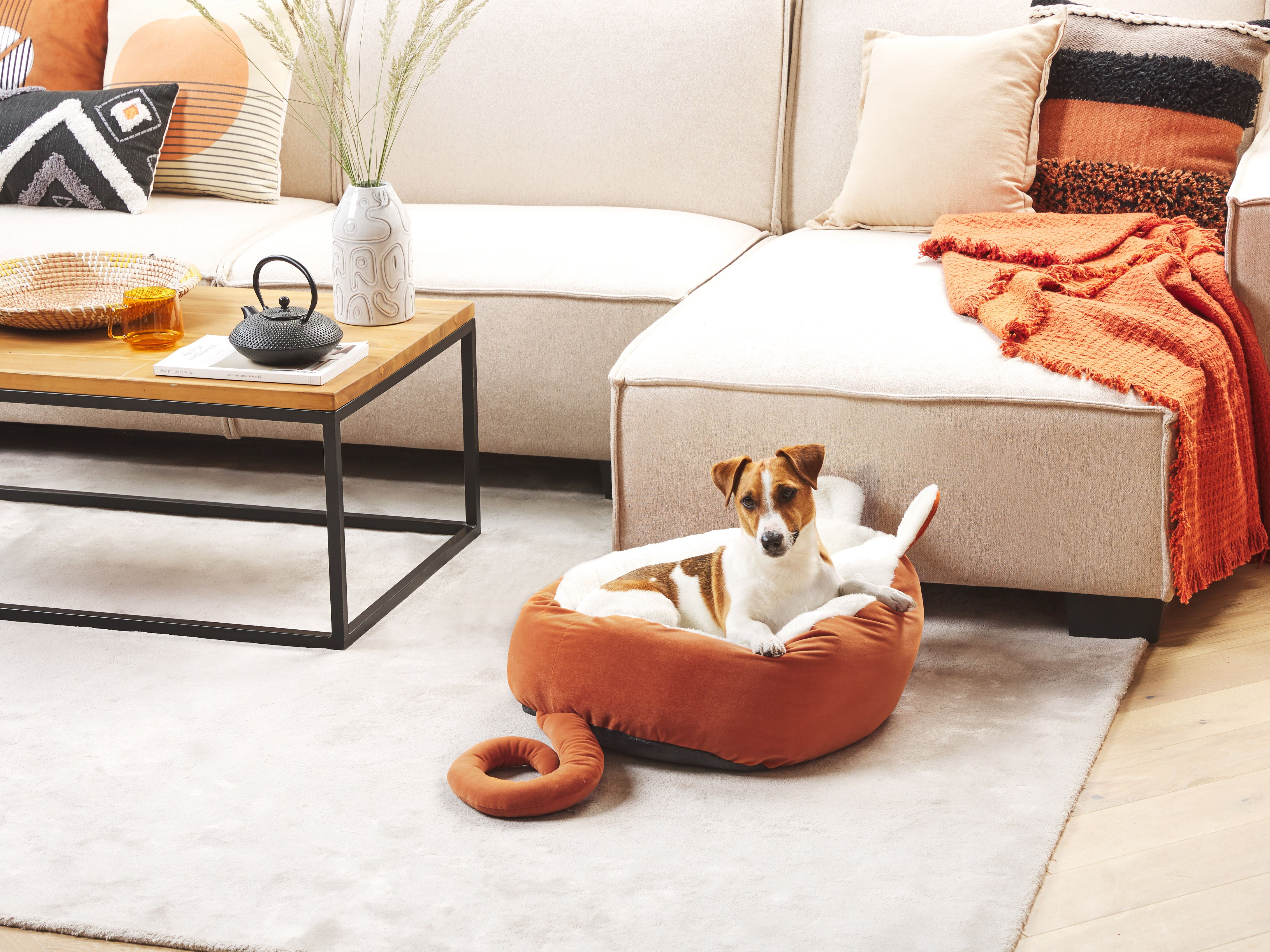 Pet Bed HASSA Velvet Orange