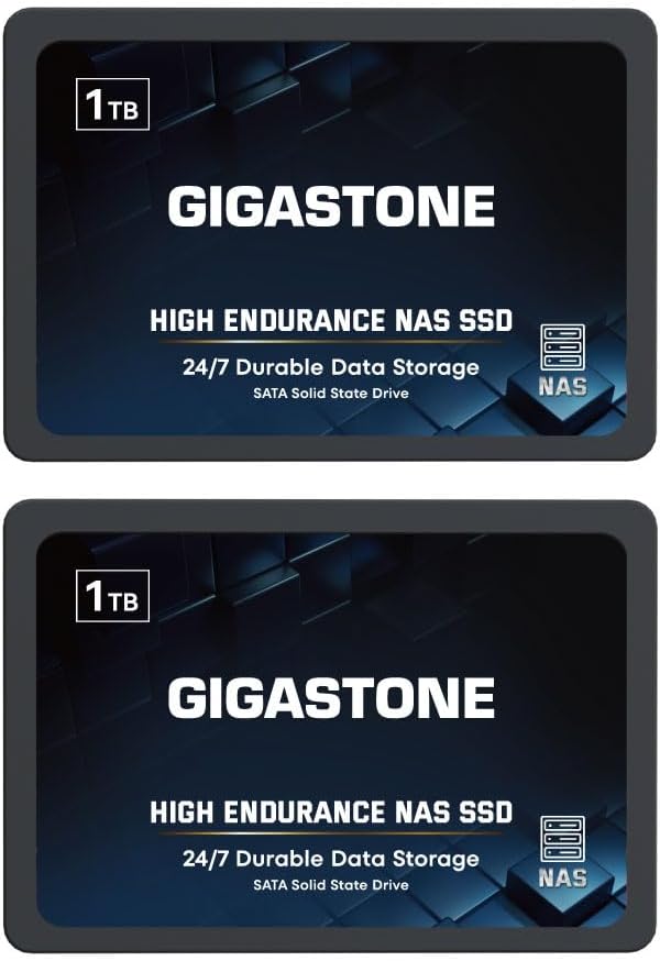 Gigastone 【NAS Certified】 High Endurance SSD 1TB (2-Pack) Up to 550MB/s TLC Flash with SLC Caching 24/7 Reliable for Gaming/PC/NAS SSD 5-Year Warranty 2.5