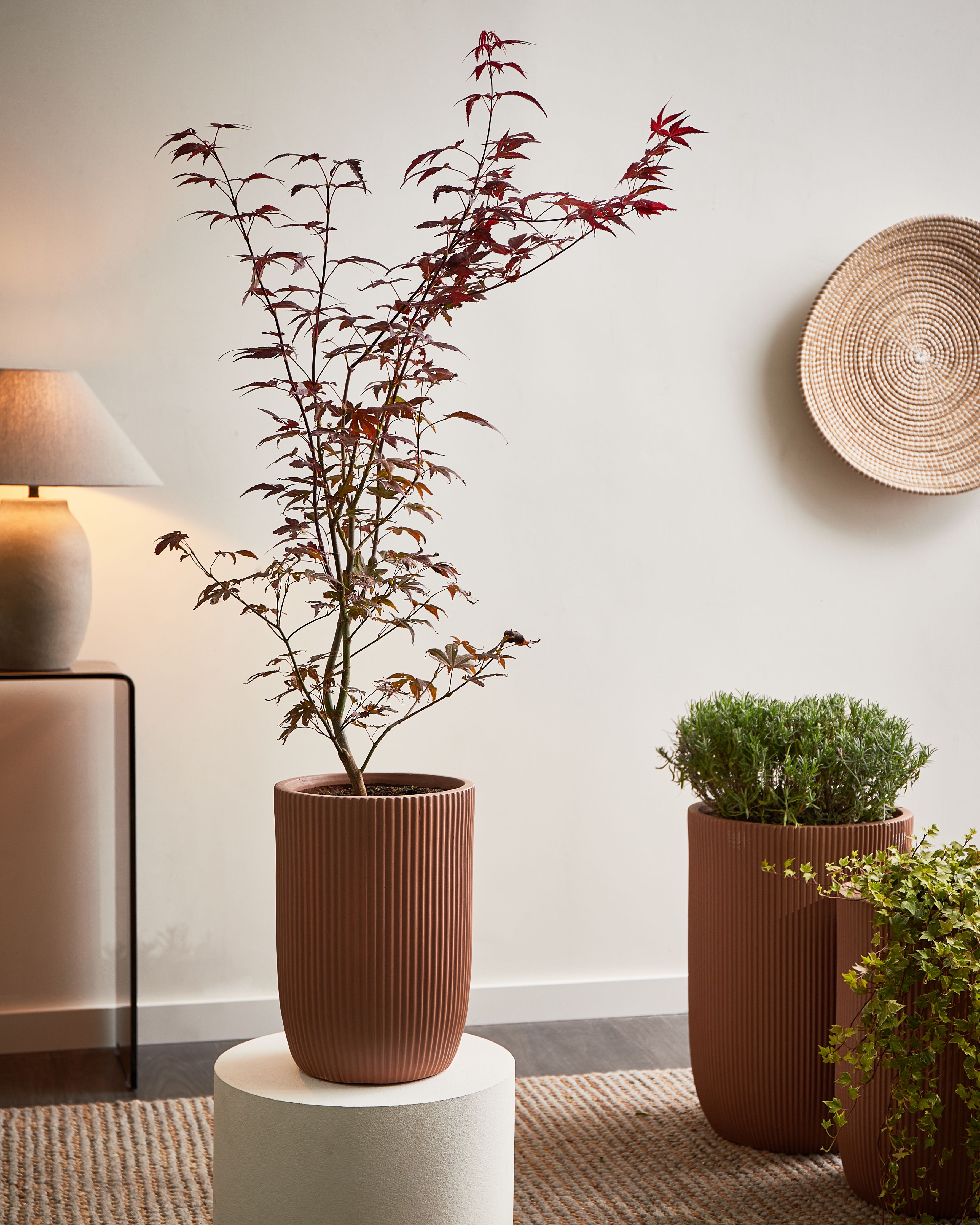 Plant Pot EANTIO 25 cm Brown