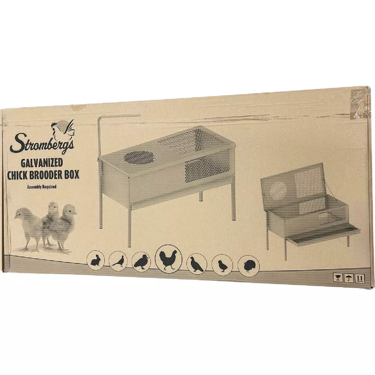 Stromberg's Stand Up Chick Brooder