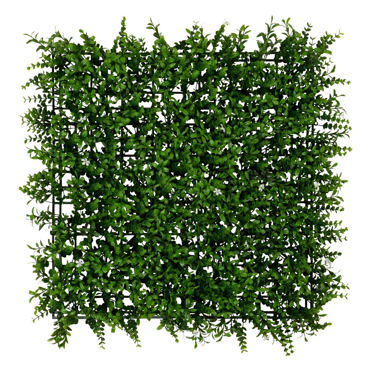 Plant square "Izy" Green, 50x50 cm